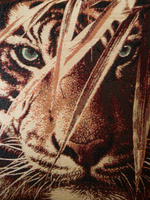 Наволочка для декоративной подушки Тигр 47х47