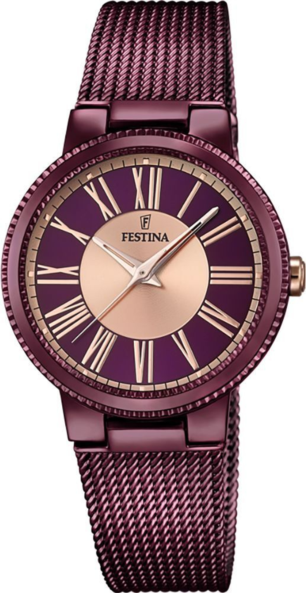 Часы Festina F16966/1