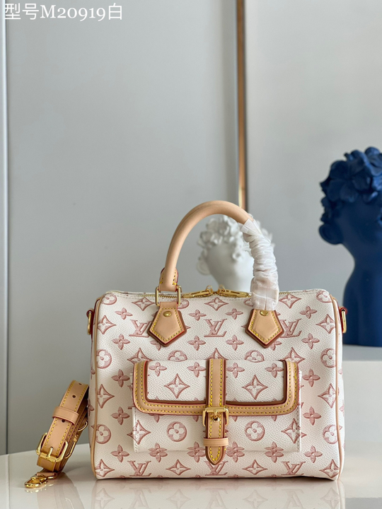 Louis Vuitton Speedy  25