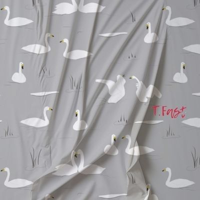 Swans