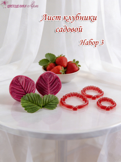 Лист клубники садовой. Набор №3