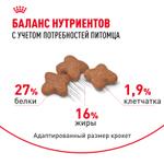 Royal Canin Mini Adult Корм сухой для взрослых собак мелких размеров от 10 месяцев 8 кг