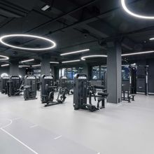 E7031JZ Разгибание спины. Стек 135 кг