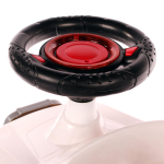 Толокар музыкальный 13 FTP-089-Ж