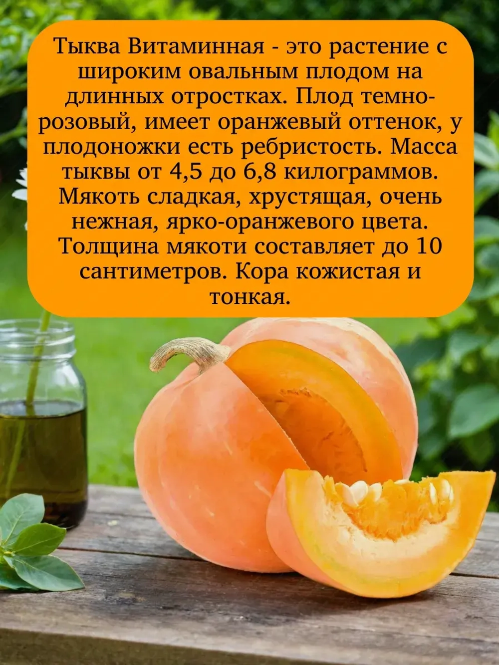 Семена Тыква мускатная Витаминная 20 гр