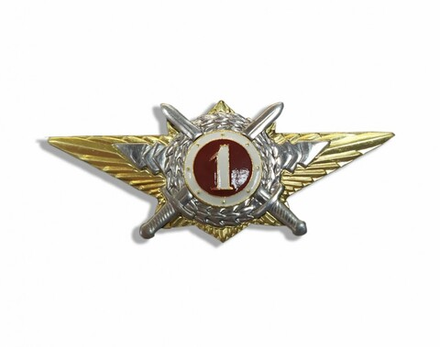 Значок Классность Росгвардии 1 класс