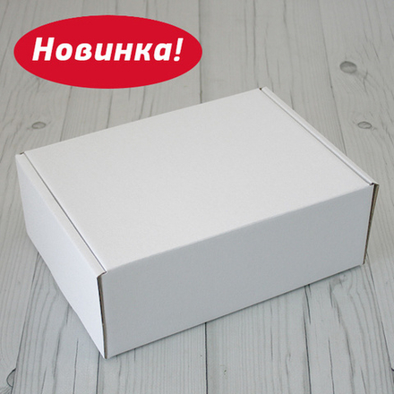 Коробка - сундучок 23 х 17 х 8 см Матовая