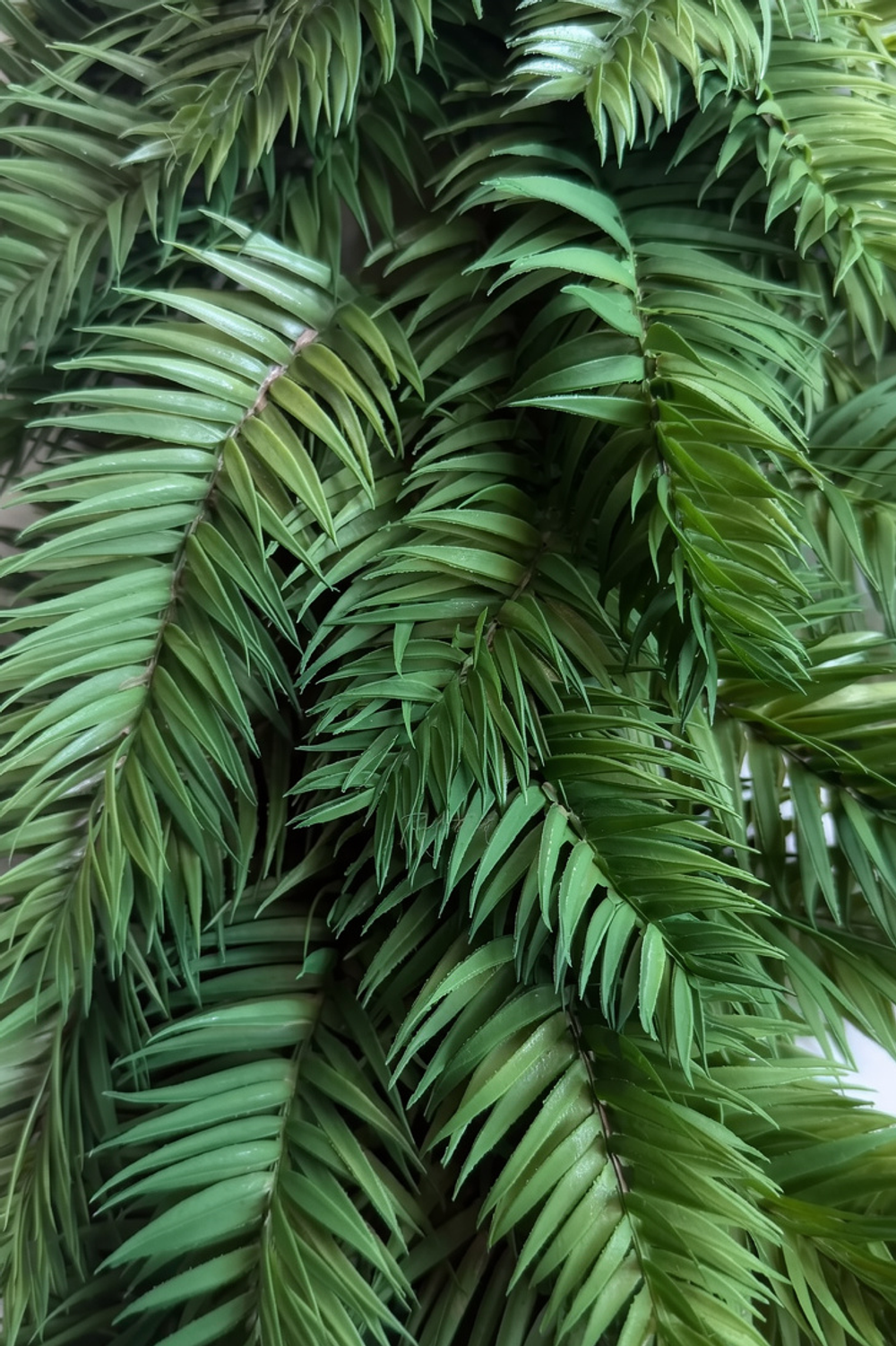 Гирлянда из хвои с широкой иглой 180 см