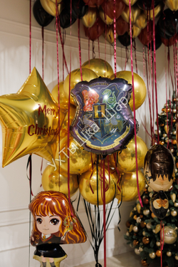 Сет "Гарри Поттер"