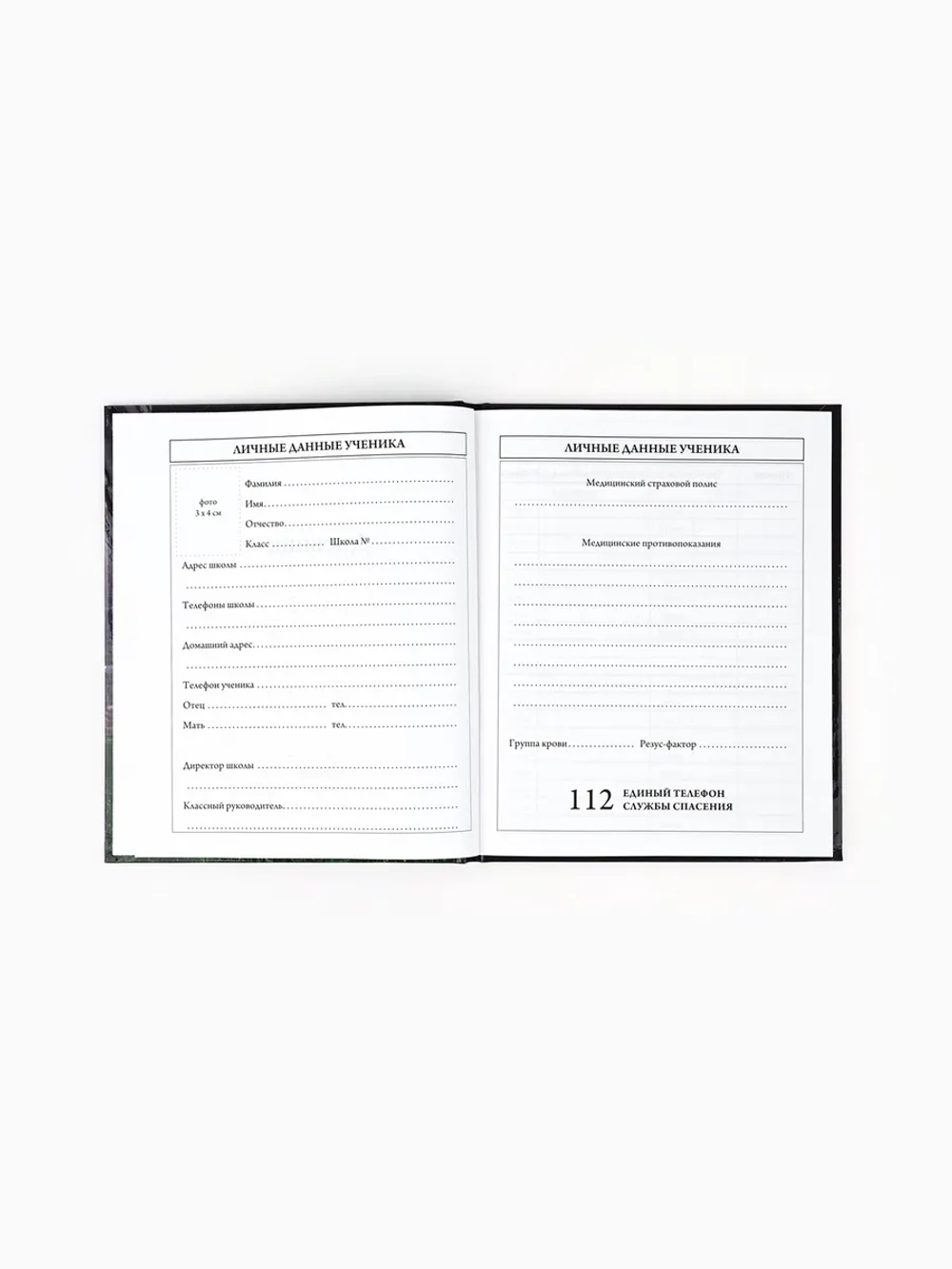 Дневник школьный для мальчиков 1-4 класс
