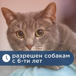 Суспензия от гельминтов для кошек и котят Празител Особый, 10мл. Празиквантел/Пирантел/Экстракт расторопши