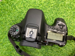 Canon EOS 70D (23.600 кадров)