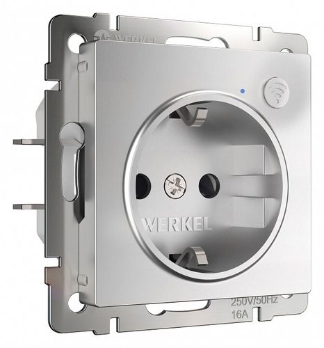 Розетка умная Werkel W1171606