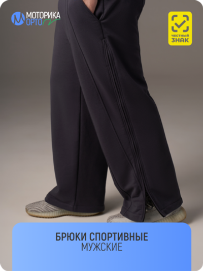 Брюки спортивные мужские ТН, серый