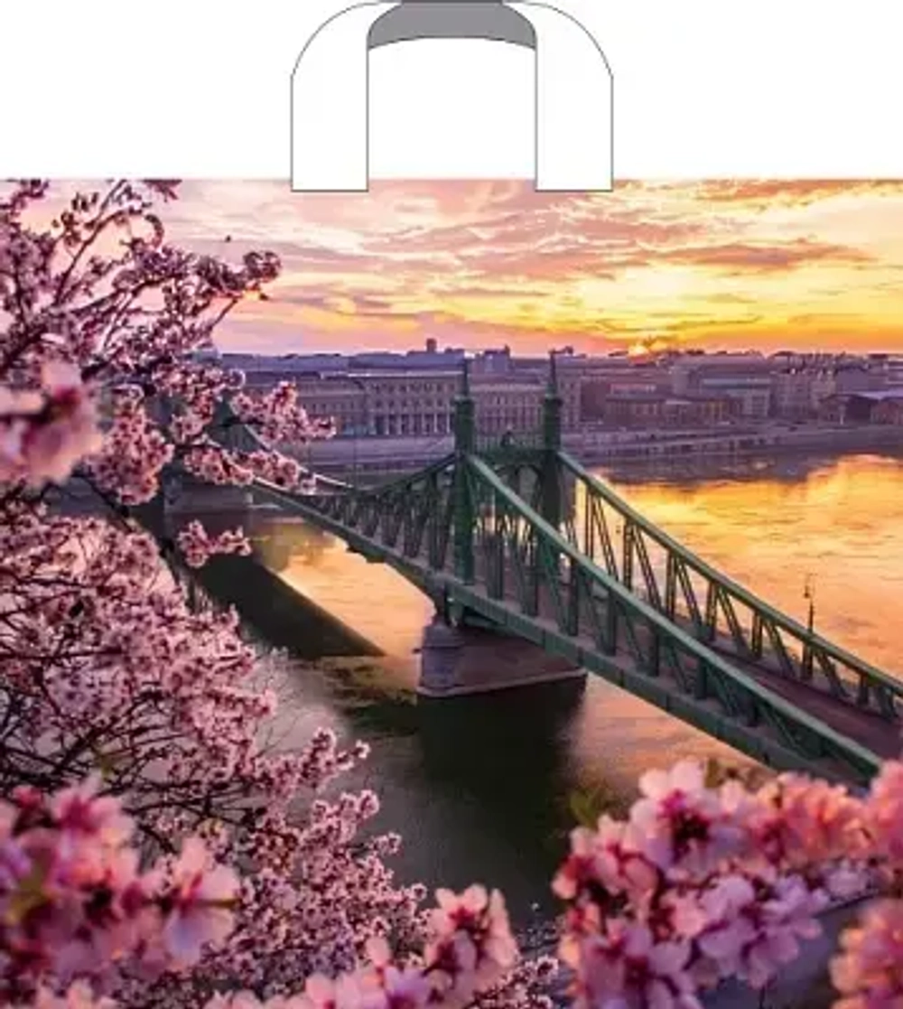 Пакет ПЭ с петлевой ручкой 38х34+3см (70) (Дунай) Артпласт (х50/500)