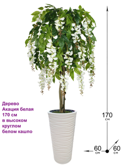 Искусственное дерево Акация белая 170 см в высоком круглом белом кашпо