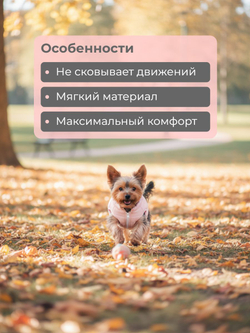 Жилет для собак