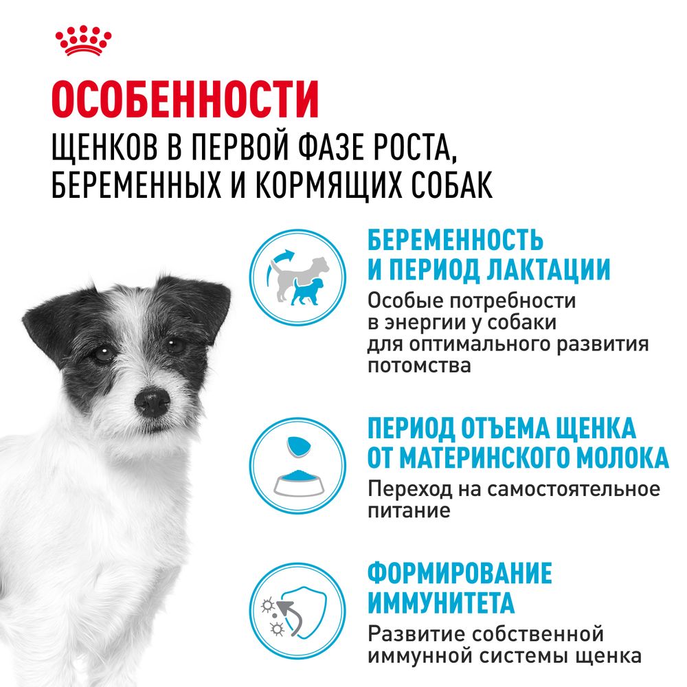 Сухой корм Royal Canin Mini Starter для щенков мелких размеров до 2-х месяцев, беременных и кормящих сук Сухой корм Royal Canin Mini Starter для щенков мелких размеров до 2-х месяцев, беременных и кормящих сук