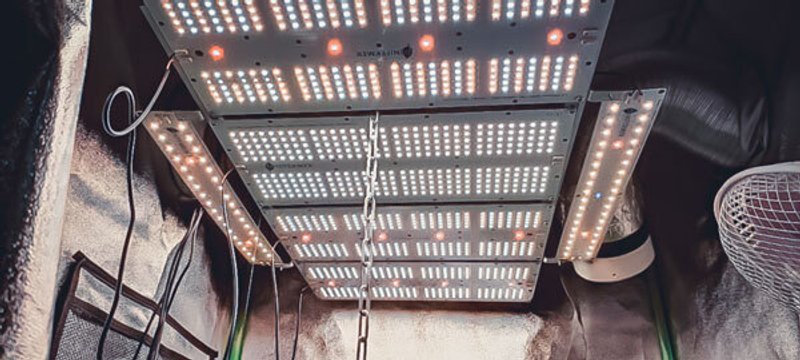 LED Booster Line 5000К + 660 nm / 20 W