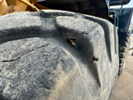 Caterpillar SEM 658 Фронтальный погрузчик SEM 658 D (Дизельный, 9,7 л, 220 л.с., АТ)