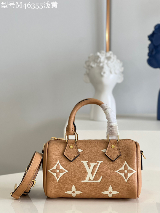Louis Vuitton Speedy 20