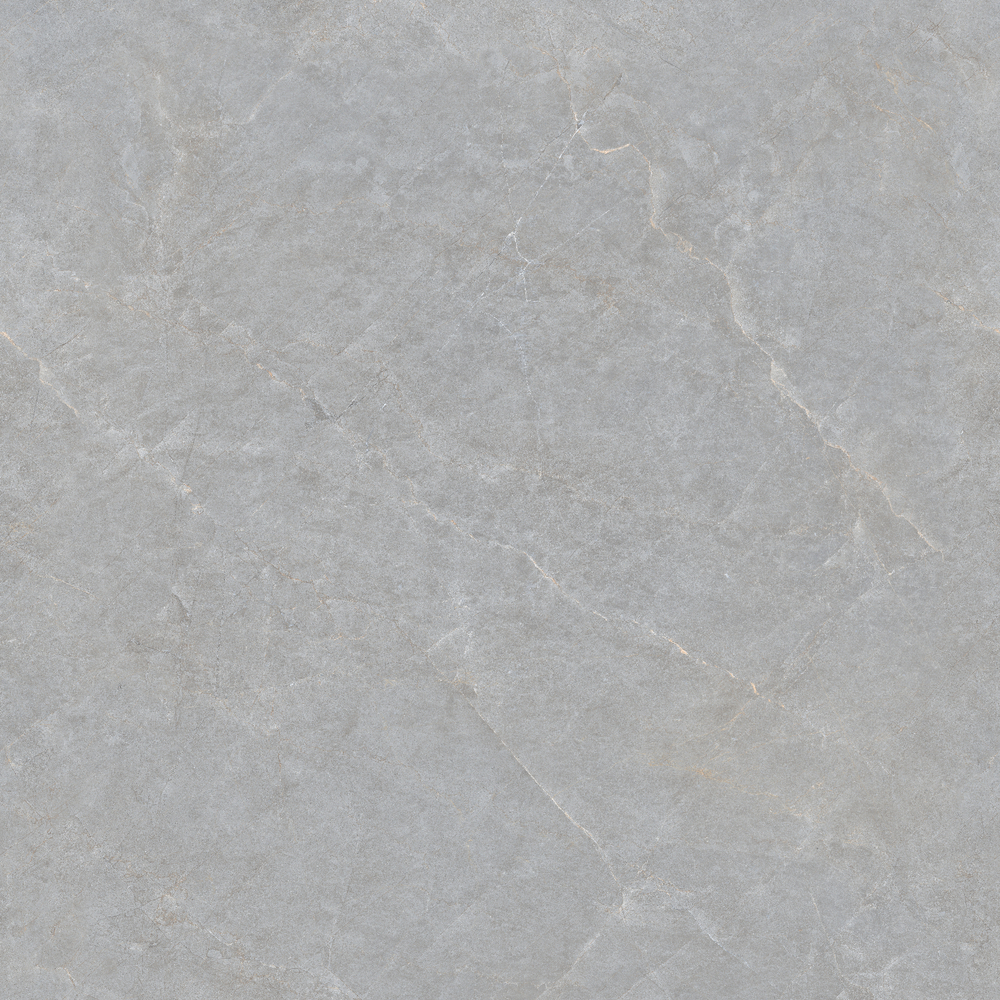 Керамогранит, MAIMOON, Casa Grey, 1000x1000 мм, полированная