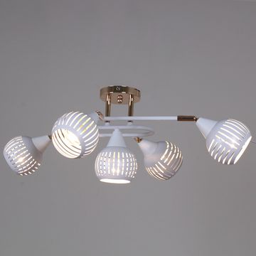 70059-3.3-05 FG+WH светильник потолочный