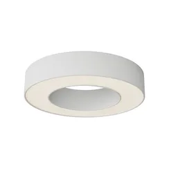 Потолочный светильник Technical C093CL-24W3K-W