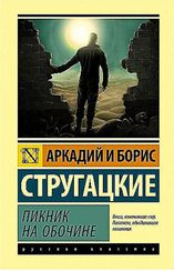 Пикник на обочине