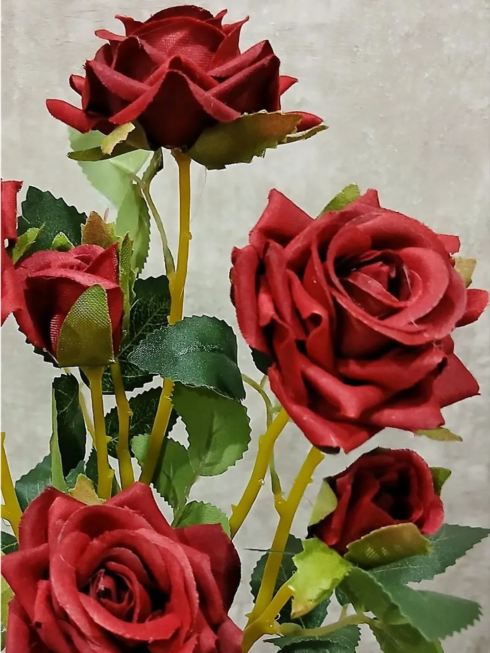 Роза кустовая бархатная, без кашпо.