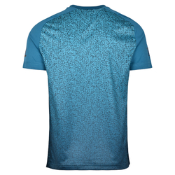 Мужская теннисная футболка EA7 Man Jersey T-Shirt - fancy green