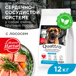 Корм сухой для взрослых собак очень крупных пород, премиум полнорационный комплекс, для заботы сердечно-сосудистой системы, с лососем, 12 кг, QUATTRO