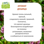 Душица, отдушка для свечей и мыла