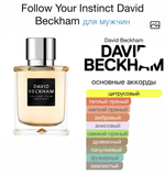 Follow Your Instinct David Beckham