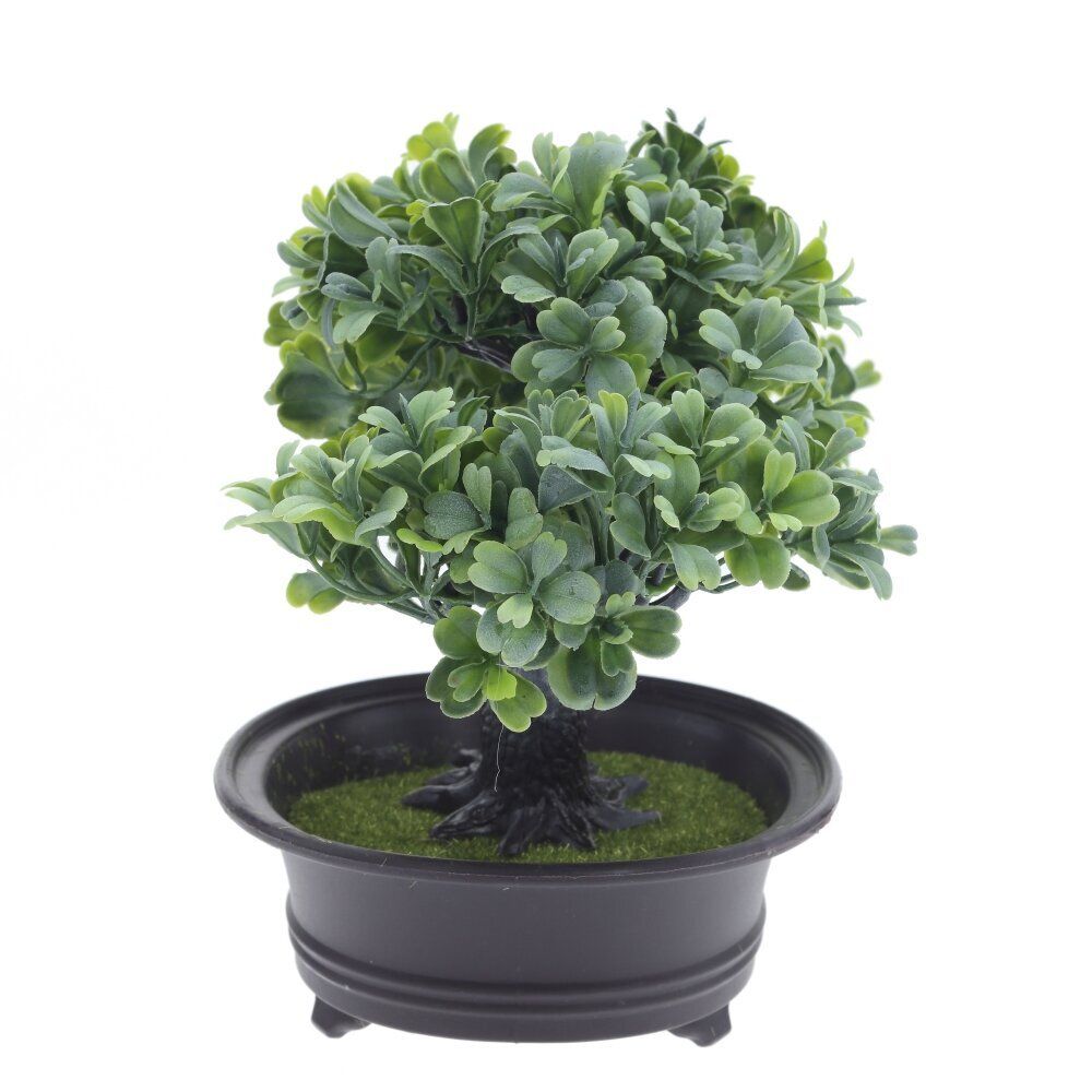 GAEM Цветочная композиция "Бонсай", L32 W13 H19 см, 2в.