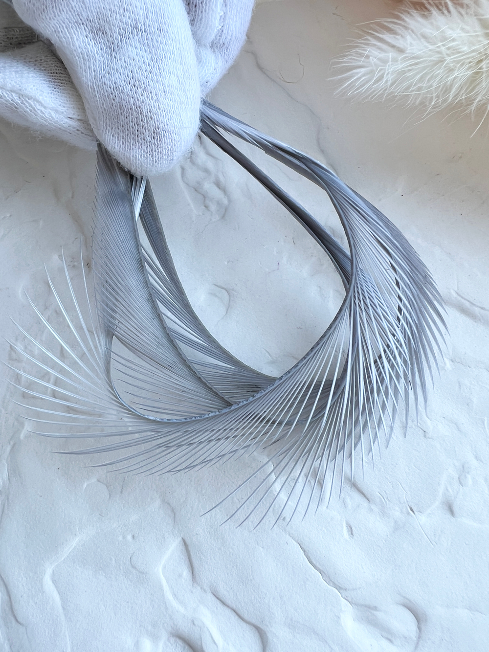 Гусиное перо, Серый (5 шт)