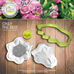 Колокольчик Campanula medium цветок средний