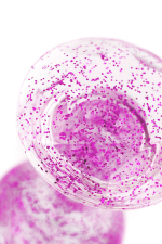 Фиолетовая акриловая анальная втулка 8см ToyFa Basic 881305-4