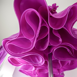 одежда для спорта