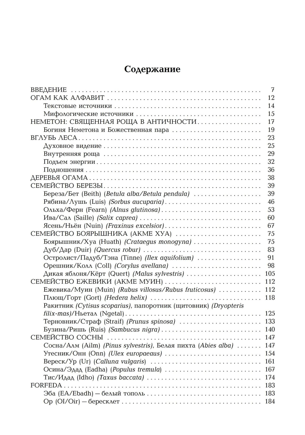 Кельтская магия деревьев: огам и мистерии друидов
