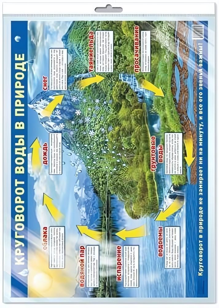 Плакат демонстрационный А2 &quot;Круговорот воды в природе&quot; в индивид.уп.с европодв. (Сфера)