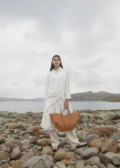 Сумка Polene Cyme