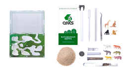 Комплект муравьиной фермы с муравьями