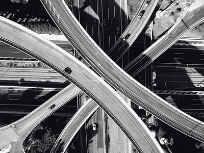 Дизайнерские обои Wall Street Bird see