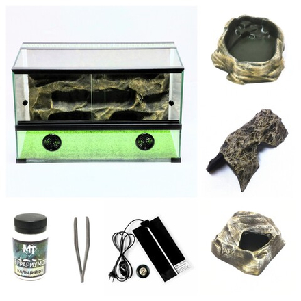 Полный комплект для Эублефара, террариум 40х30х30 и всё необходимое для содержания.