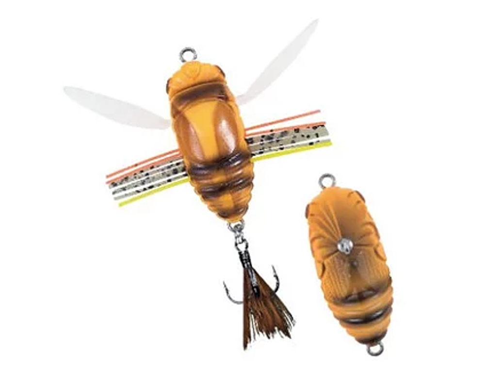 Жук DUO REALIS SHINMUSHI CCC3213