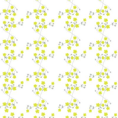 Весенние цветы на белом.