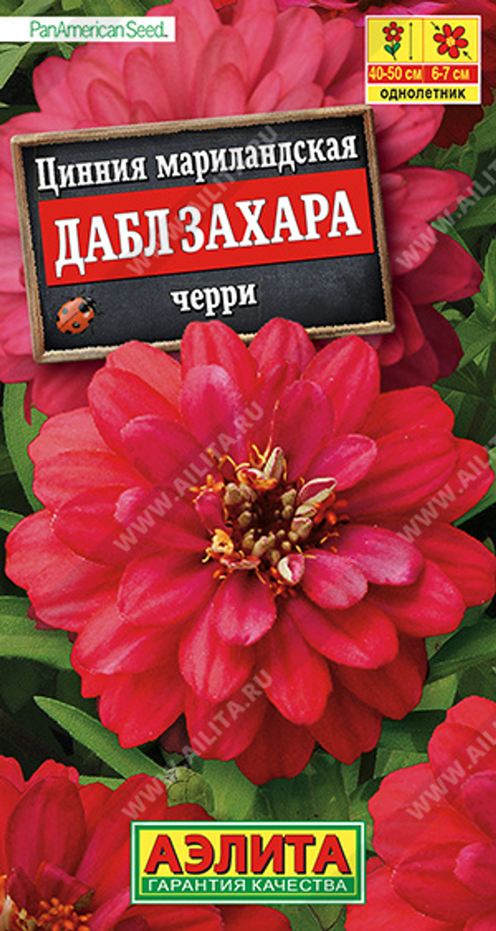Циния Дабл Захара черри 5шт Аэлита