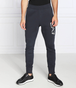 спортивные штаны EA7 - темно-синий(6LPP91 PJ07Z)