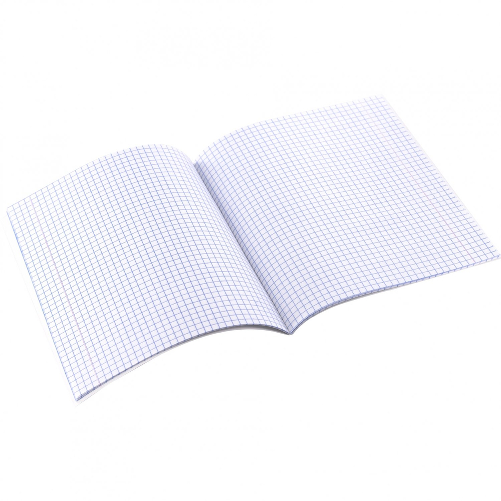 Тетрадь предметная "Физика" А5 48л., клетка, со справочным материалом, скрепка, мелованный картон(стандарт), блок офсет, Alingar "Anime style"